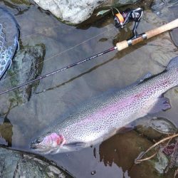 天竜川ルアーフライ専用区